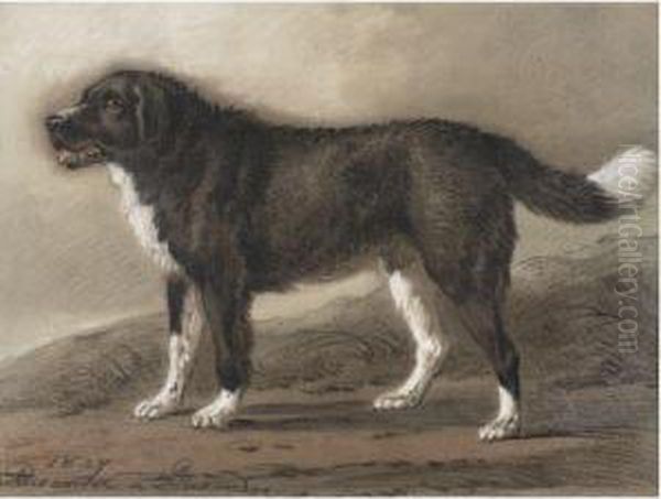Standing Dog - view 1