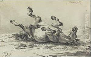 A Rolling Stallion A Rolling Stallion