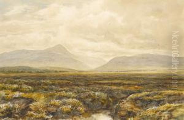 Cardross Moss Dunbartonshire - view 1
