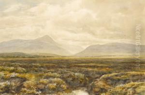 Cardross Moss Dunbartonshire