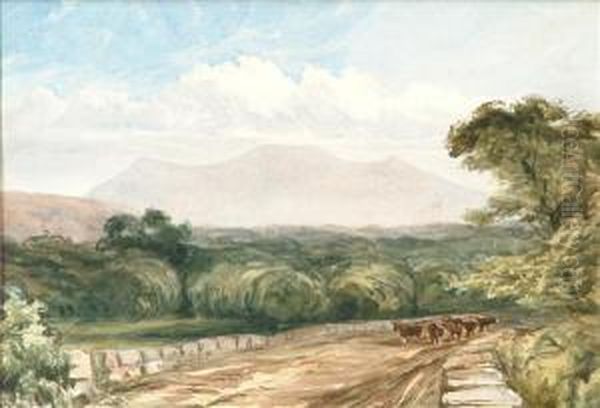 Calder Idris - view 1