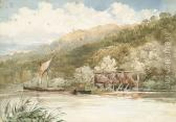 Eel Fishers - view 1