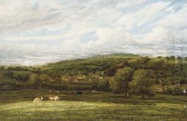 Cattle Resting In A Wooded Valley - view 1