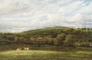 Cattle Resting In A Wooded Valley by James Orrock