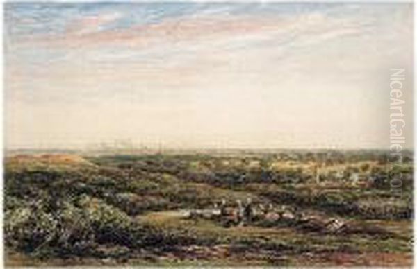 Stags In Bradgate Park, With The City Of Leicester In The Distance - view 1