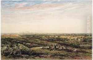 Stags In Bradgate Park, With The City Of Leicester In The Distance