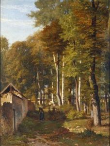 Reisigsammlerinin Einem Sonnendurchfluteten Herbstwald