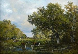 Vaches Dans La Clairiere