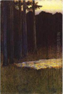 La Foret Le Soir