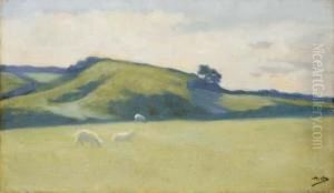 Paysage Aux Moutons