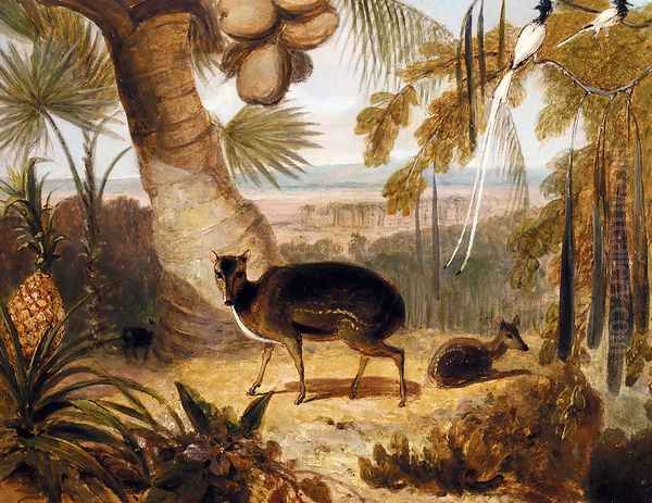 Musk Deer, And Birds Of Paradise - view 1