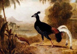 The Fire Pheasant Of The Island Of Java by William Daniell RA