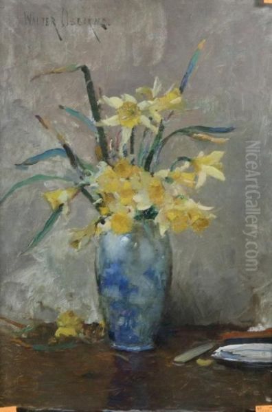 Daffodils - view 1