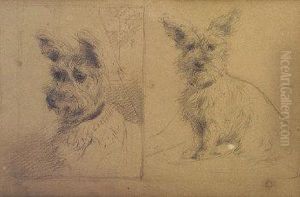 Study Of A Terrier