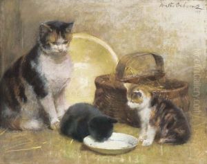 Cats