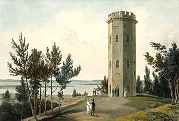 Nelsons Tower Forres - view 1