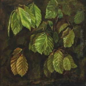 Beech Leaves by Otto Didrik Ottesen