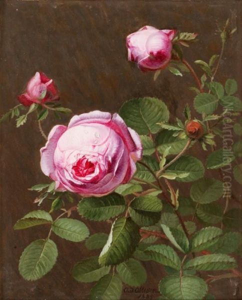 Still Life With Pink Roses - view 1