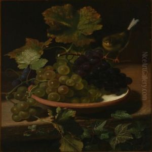 Still Life Still Life