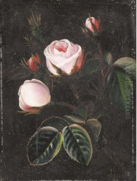 Pink Roses - view 1