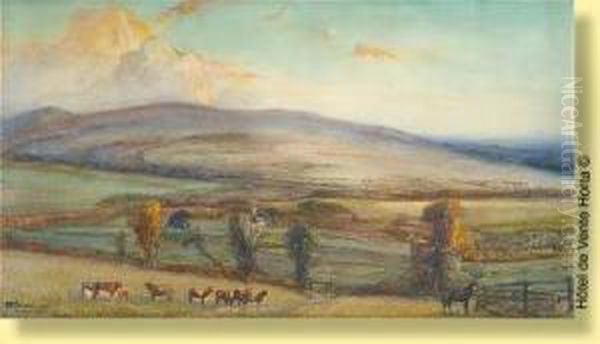 Vue Du Pays De Galle - view 1
