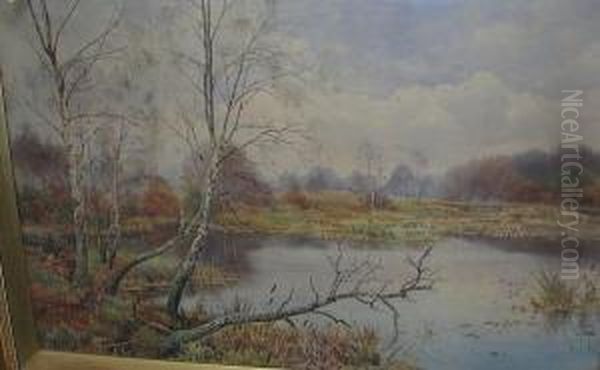 An Autumnal River Scene - view 1
