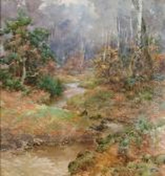 Woodland Stream - view 1