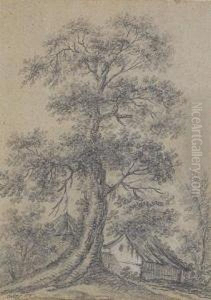 Arbre Et D'une Ferme - view 1