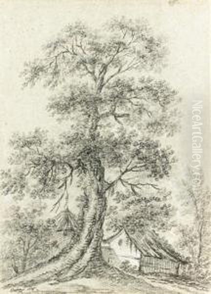 A Tree And A Cottage - view 1