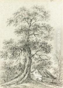 A Tree And A Cottage