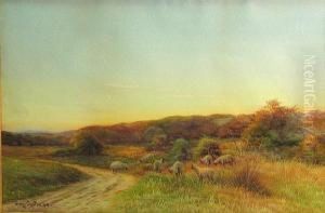 Sheep In A Landscape by George Oyston