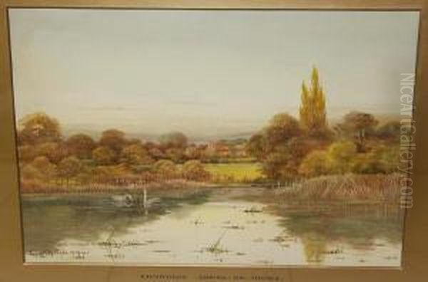 Backwaters - view 1