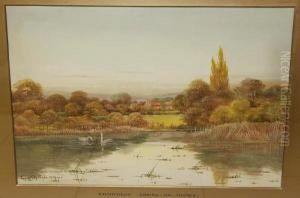 Backwaters by George Oyston