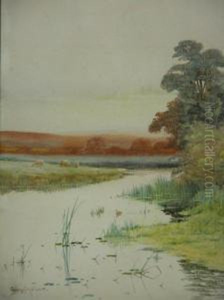 Water Meadow With Grazing Sheep - view 1