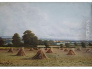 Near Wisley Hut, Surrey
