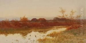 Marsh River Landscapes