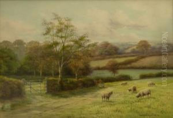 Sheep Grazing - view 1
