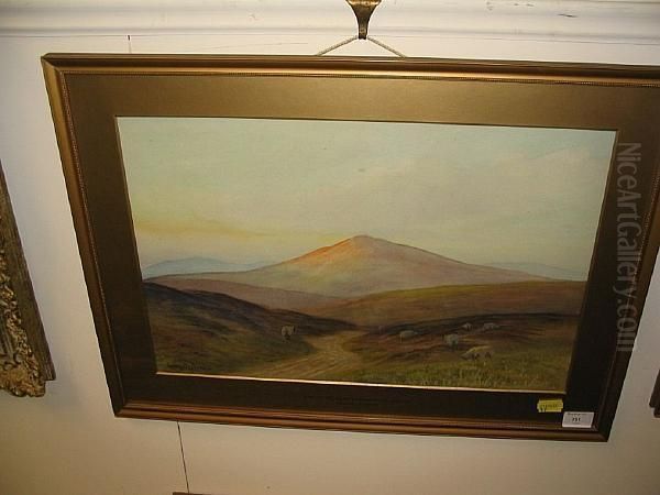 Dartmoor, Near Okehampton - view 1
