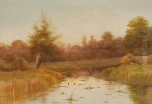 Watercolour