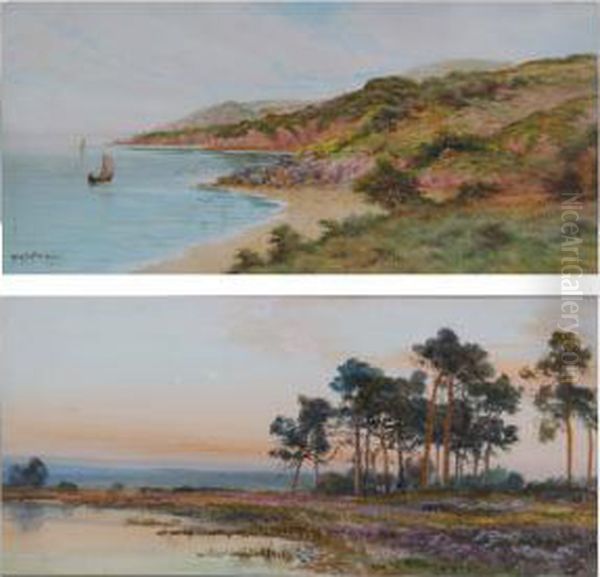 Coastal Scene - view 1