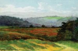 Landscape Landscape
