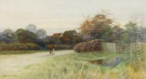 Near Corfe Castle, Dorset - view 1