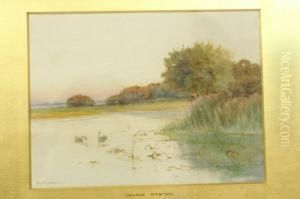 Norfolk Backwater by George Oyston
