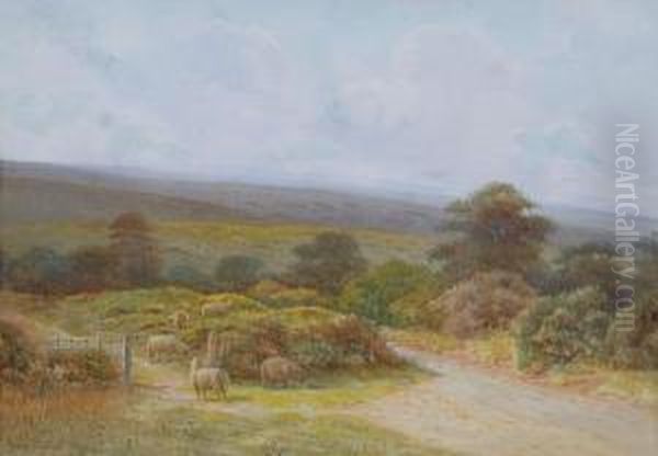 Exmoor Landscape With Sheep Grazing - view 1