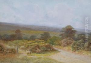 Exmoor Landscape With Sheep Grazing
