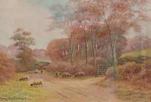 Horsell Common, Near Dorking, Surrey