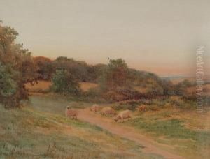 At Packenham Common, Surrey