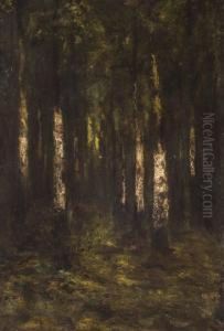 Nyirfaerdo, 1875 Korul by Laszlo Paal