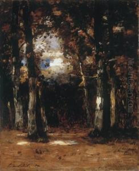 Forest Scene Of Barbizon - view 1
