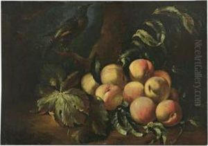 Natura Morta Di Pesche Con Uccello by Michele Pace Del (Michelangelo di) Campidoglio